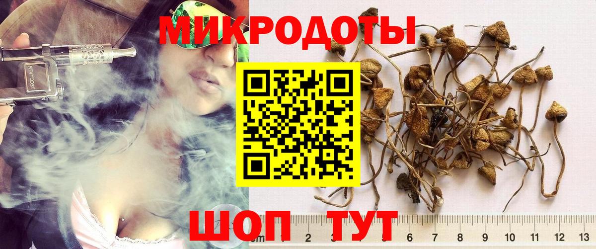 Галлюциногенные грибы Psilocybine cubensis Слободской
