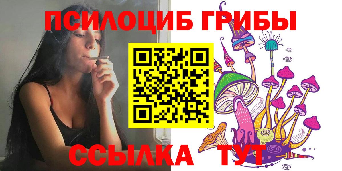 Слободской  Псилоцибиновые грибы Cubensis  наркошоп  Вход с VPN 